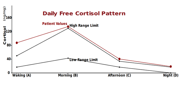 Cortisol-2