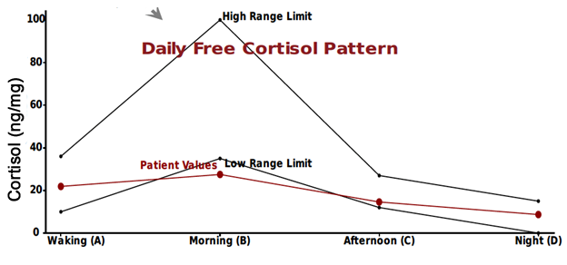 Cortisol