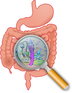 IBS and Bad Bacteria
